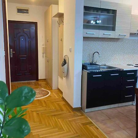 D Apartment Free Private Parking Fast Wi-Fi Novi Sad Eksteriør billede
